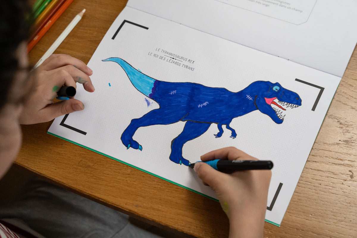 Cahier-de-dessin-anime-Les-Dinosaures-3
